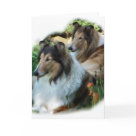 postcard - The collies are magnificent in this original art. Variety of merchandise to please any collie lover.
