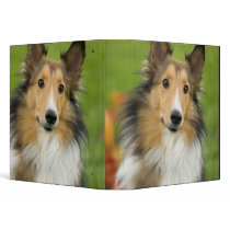 Rough Collie, dog, animal Binder