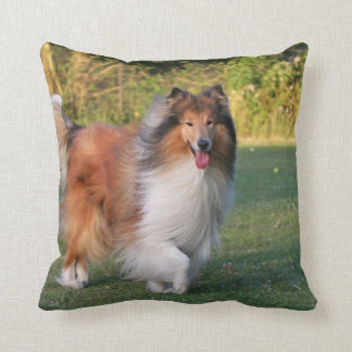 rough collie pillow