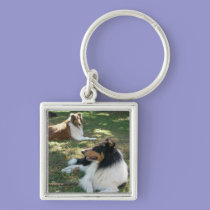 Rough Collies keychains