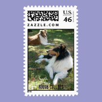 Rough Collies stamps