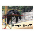 Rough Day posters by jeffcraighead Rough Day posters