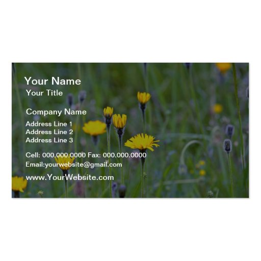 Rough hawkbit (Leontodon Hispidus)  flowers Business Card Templates
