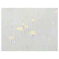 Rough hawkbit (Leontodon Hispidus)  flowers Letterhead Template