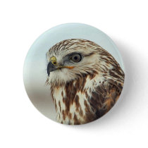 Rough-legged Hawk Pinback Buttons