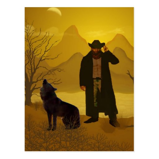 Rough Rider Postcard