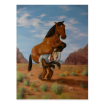 Rough Rider Postcard postcards
