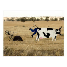 Rough Riding Postcard