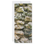 Rough rock wall with moss custom background custom rack cards