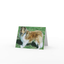 ROUGH SABLE COLLIE cards