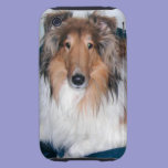 Rough Sable Collie iPhone 3 Case casemate cases