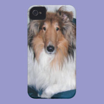 Rough Sable Collie iPhone 4 Case casemate cases