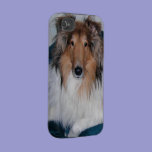 Rough Sable Collie iPhone 4 Case casemate cases