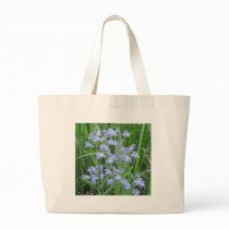 Rough Skullcap, Scutellaria integrifolia bags