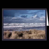 Rough Surf cards