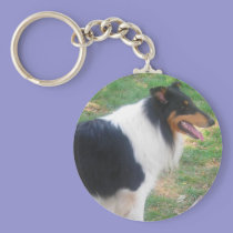 Rough Tri Collie keychain keychains