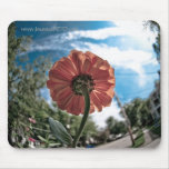 Round and round-mousepad mousepads