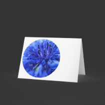 round blue cards by stucker111 round blue cards