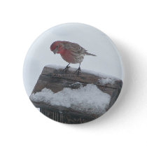 Round Button by toots1 Round Button