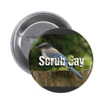 Round Button buttons