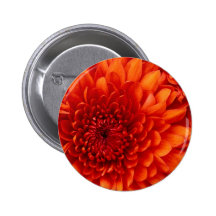 Round Button