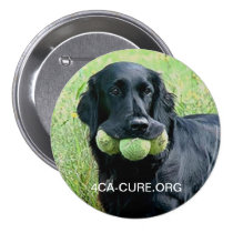 Round Casey Pin