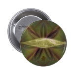 Round Cocoon Button buttons