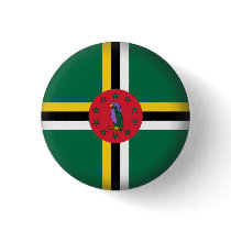 Round Dominica Pin