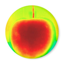 Round Magnet by joacreations Round Magnet