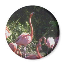 Round Magnet by pidgiefund Round Magnet