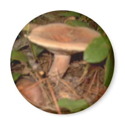 Round Magnet by eelkat