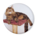 Round Magnet
