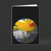 Round poppy on a stem cards by stucker111 Round poppy on a stem cards
