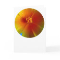 round poppy on white cards by stucker111 round poppy on white cards