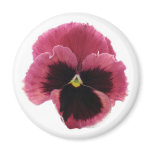 Round Red Pansy Magnet magnets