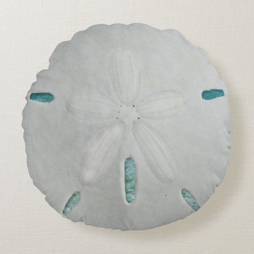 Round Sand Dollar Beach Throw Pillow Round Pillow Zazzle