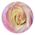 Round Sticker Beautiful Pink Rose zazzle_sticker