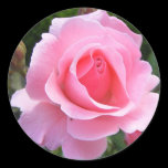 Round sticker with beautiful pink rose stickers