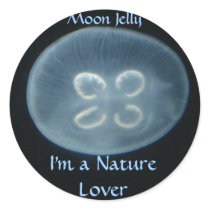 Round sticker with "Moon Jelly" picture by write2chinu Round sticker with "Moon Jelly" picture