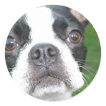 Round Stickers stickers