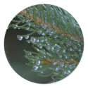 Round Stickers