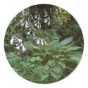 Round Stickers by eelkat Round Stickers