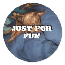 Round Stickers