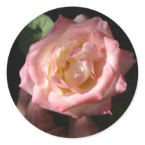 Round Stickers