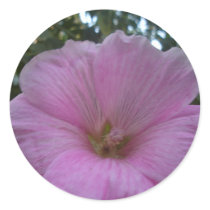 Round Stickers
