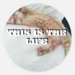 Round Stickers