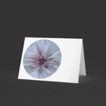 round wildflower cards by stucker111 round wildflower cards