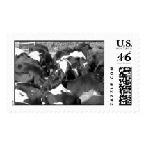 Round'em Up postage
