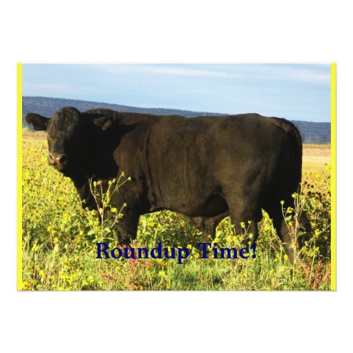 Roundup Time!  Cattle Drive - Western Style Party Personalized Announcements (front side)