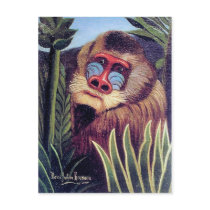 Rousseau's "Mandrill in the Jungle" (circa 1909) Post Cards